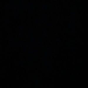 Meet your Posher, Jessie